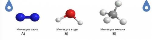 Задание 1. Определите, где на рисунке изображены простые и сложные вещества. ​