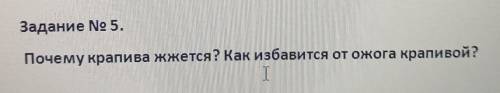 Почему крапива жжется? Как избавится от ожога крапивой?​