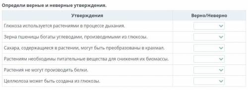 Определи верные и неверные утверждения.