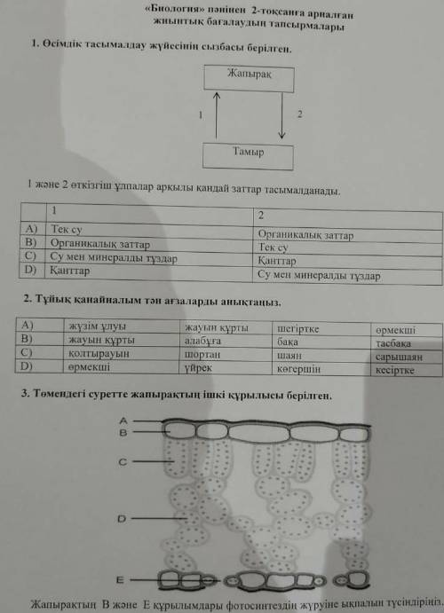 Помагите тжб биология 7 класс 2 четверг​