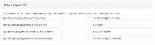 Установите соответствие между процессами и структурами в которых они происходят: