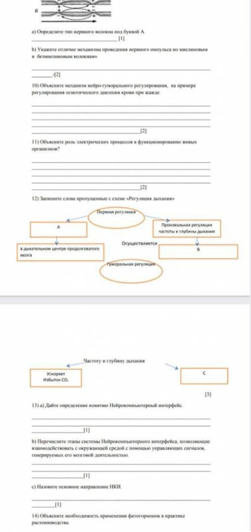 Соч биология 9 класс 2 четверть и подписку