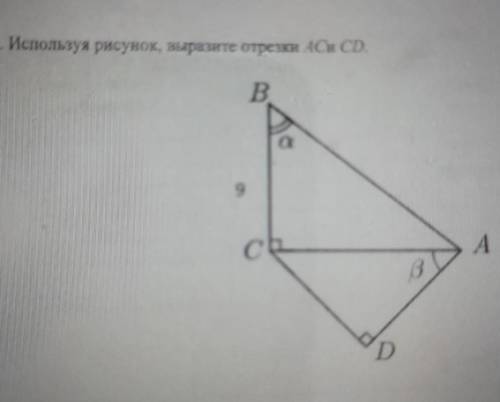 Используя рисунок, выразите отрезки АС и СD​