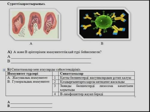 Суретти катыстырыныз ​