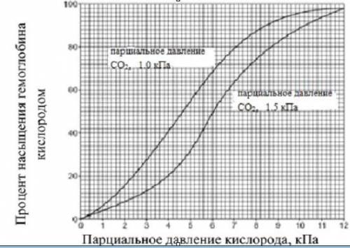 1.Количество кислорода, которое может быть связано гемоглобином а) коэффициентом утилизации кислород