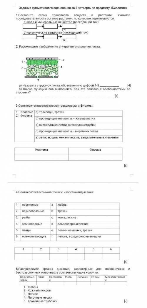 Задания суммативного оценивания за 2 четверть по предмету «Биология» 1.Составьте схему транспортавещ