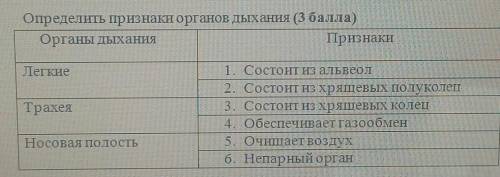 Определить признаки органов дыхания