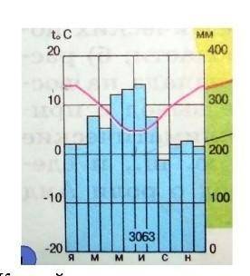 По климатограмме определите полушарие, климатический пояс и область в пункте​