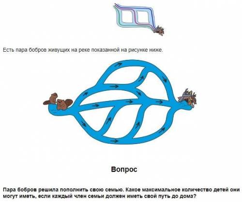 Много бобров. Бобры очень амбициозны: каждый бобер должен иметь свой путь до дома, но они слишком ле