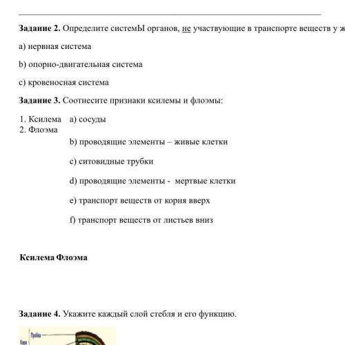 Задание 3. Соотнесите признаки ксилемы и флоэмы: 1. Ксилема 2. Флоэма a) сосуды b) проводящие элемен