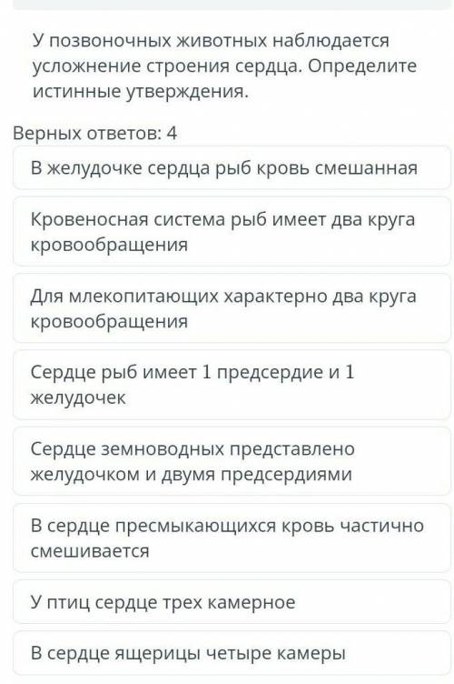 У позвоночных животных наблюдается усложнение строения сердца. Определите истинные утверждения. Верн