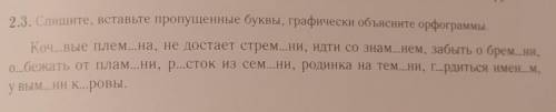 2.5. Спишите, вставьте пропущенные буквы, графически объясните орфограммы.