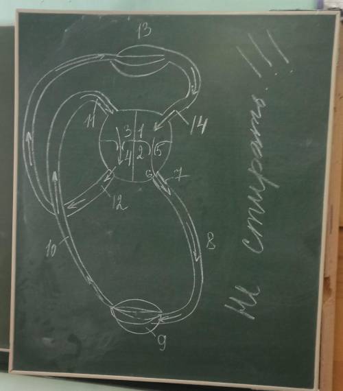 Подпишите части кровообращения​