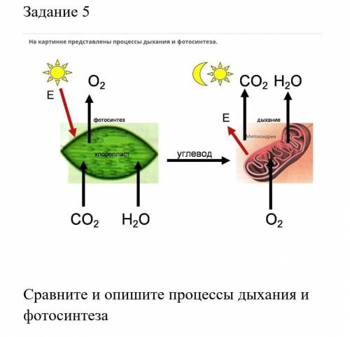 Тут есть такие которые знают биологию,отзовитесь​