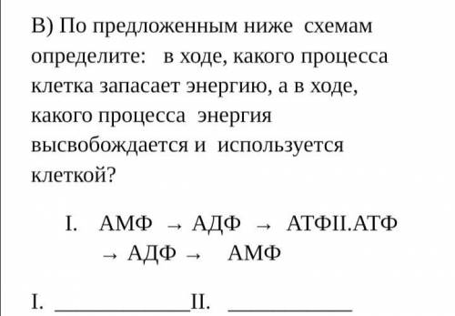 КТО НАПИШЕТ НЕ ПО ТЕМЕ КИНУ ЖАЛОБУ 10 КЛАСС