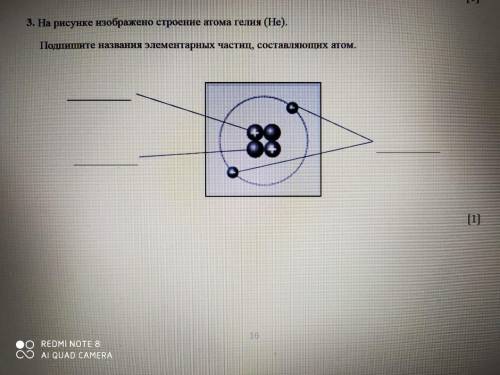 по сочу естествознания 6 класс