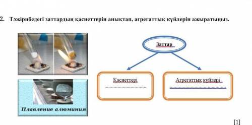 Тәжірибидегі заттардың қасикттерін анықтап, агрегаттық күйлерін жазыңыз​