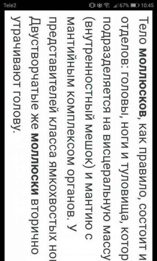 Назовите структуры, обеспечивающие транспорт веществ у беспозвоночного и позвоночного животных​