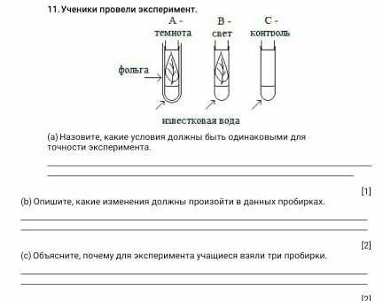 11) ученики провели эксперимент ​