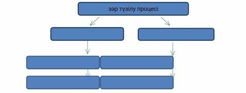 Регистрируйте образование первичной и вторичной мочи Процесс образования мочи ​