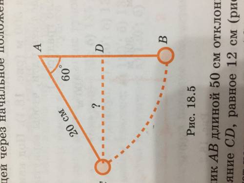Маятник в виде груза, подвешенного на нитке, отклонили от положения равновесия на угол 60°. Длина АB