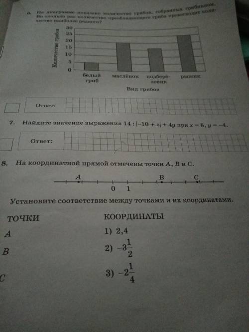 ПРИВЕТ РЕШИТЬ (все задания)