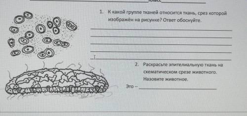 задание по биологии. ​