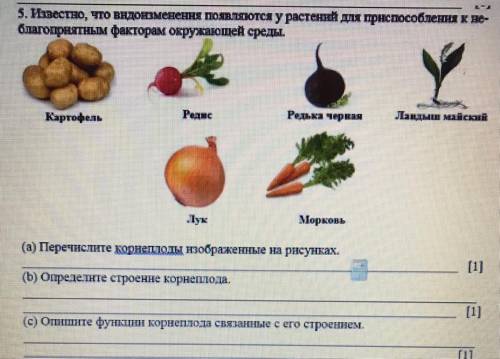 Известно, что видоизменения появляются у растений для при к ие. благоприятным факторам окружающей ср