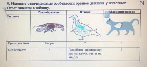 [3] 9. Назовите отличительные особенности органов дыхания у животных. + ответ занесите в таблицу. Ра