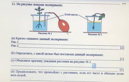 это На рисунке показан эксперимент. Слой масла Рисунок 1 Рисунок 2 (а) Кратко опишите данный экспери