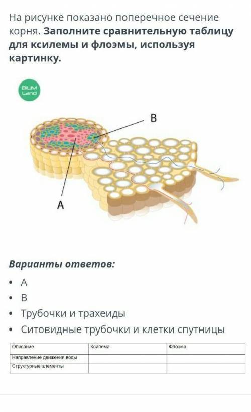 Можете ответить, я повышу ради этого ответа :_​