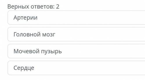 Какие органы участвуют в транспорте питательных веществ у позваносных животных ​