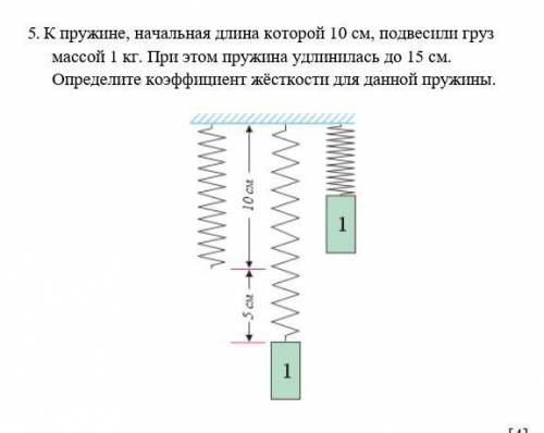 пружине, начальная длина которой 10 см, подвесили груз массой 1 кг. При этом пружина удлинилась до 1