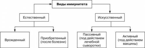 Закончи схему «Виды иммунитета»