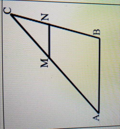 найдите пару подобных треугольников,если MN и AB параллельны, и запишите равенство отношений соответ