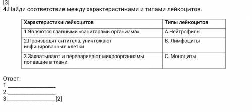 Найди соответствие между характеристиками и типами лейкоцитов. Характеристики лейкоцитовТипы лейкоци