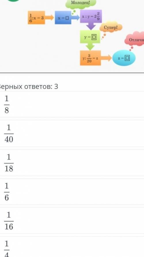 Найди значение x,y,z варианты ответа:верных ответов:31/41/61/16201/401/81/18​