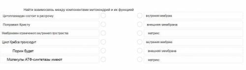 Найти взаимосвязь между компонентами митохондрий и их функцией