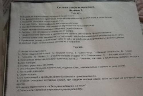 2 номера из теста по биологии нужно.