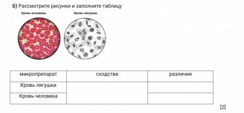 Рассмотрите рисунки и заполните таблицу соч ​