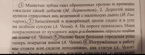 Переписать указанные предложения. Найти ПО и ГС, обозначить их в тексте, расставить недостающие знак