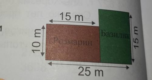 Вычислите разными площади засеянной базиликом и розмарином 15 м 10 м 25 м 15 м​