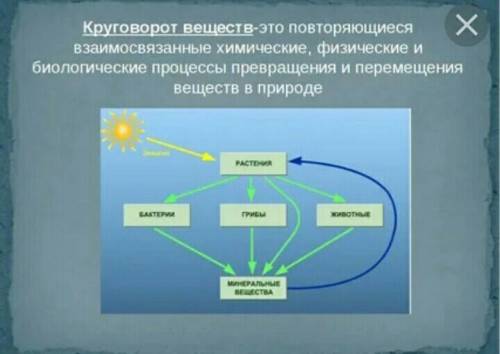 Составить схему Круговорот веществ в природе, можно отдельных , можно общую рисунок сопровождается