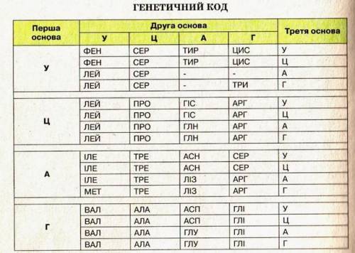 Розв’яжіть задачі. Опис розв’язування задач обов’язковий. Задача 1. Плоди томатів бувають червоні і