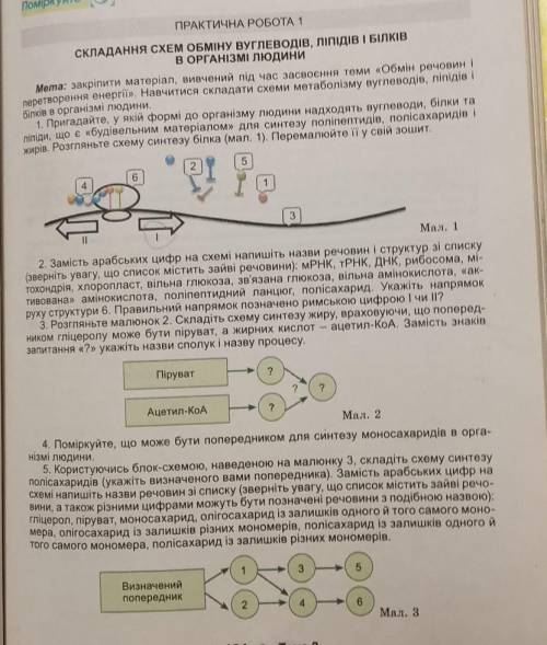 Ну зробіть будь ласка практичну​