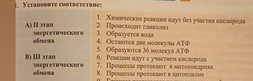 Установите соответствие 2 этап энергетического обмена 3 этап ​