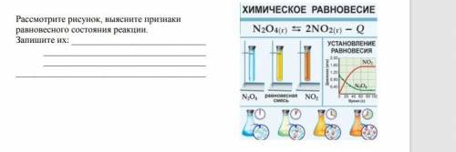 Рассмотрите рисунок, выясните признакиравновесного состояния реакции.Запишите их: