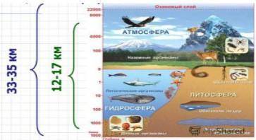 Задания1. Определите, используя рисунок: a. Границы биосферы; b. Границы распространения жизни в био