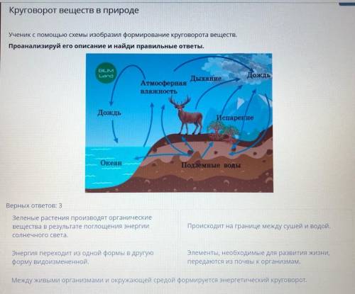 Ученик с схемы изобразил формирование круговорота веществ