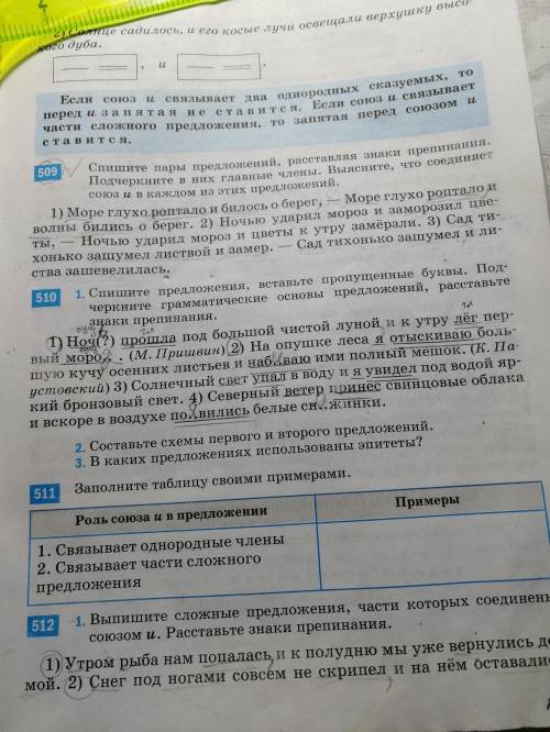 Нужно выписать сложные приложения и подчеркнуть грамматические основы, упражнение 510